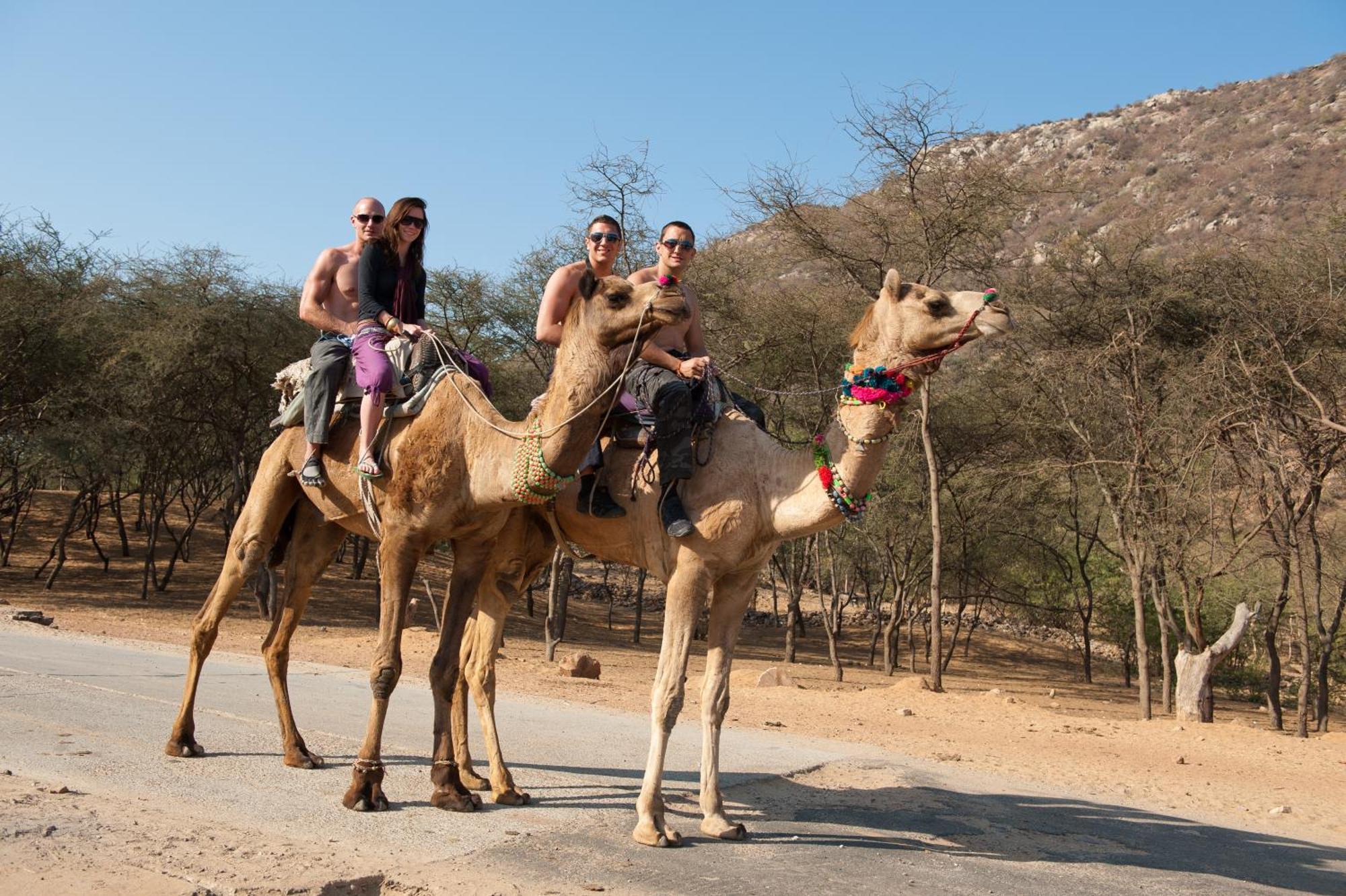 Готель Aaram Baagh Pushkar By Pachar Group Екстер'єр фото